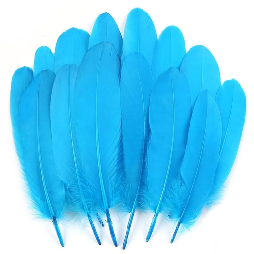 CRAFT PLUMES COULEUR P15 BMK 564-11