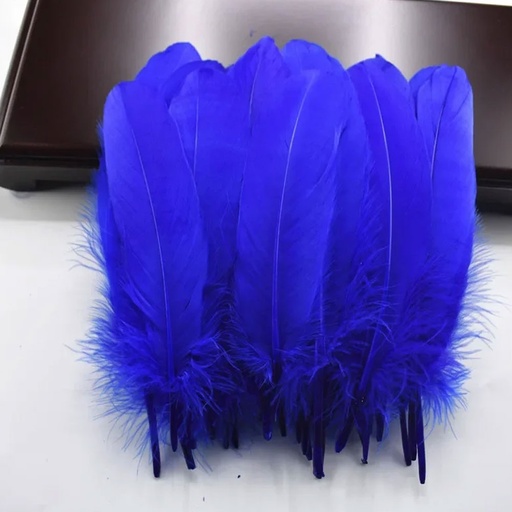 CRAFT PLUMES COULEUR P20 BMK 564-12